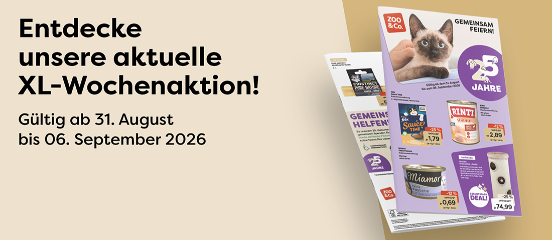 Entdecke die aktuelle Aktion!